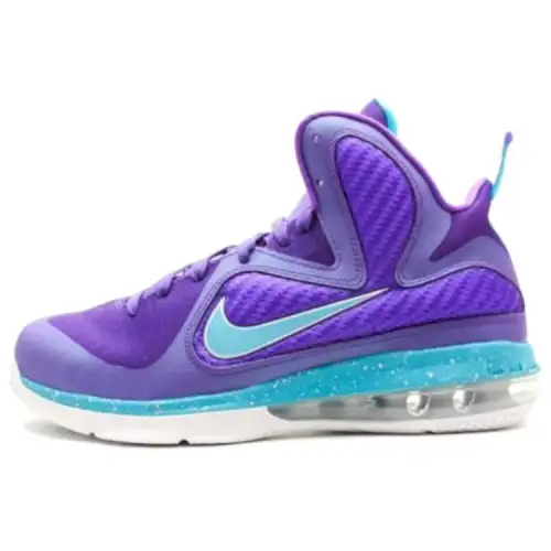 Nike LeBron 9 Summit Lake Hornets GS