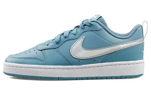 Nike Court Borough Low 2 FP 'Blue White' GS