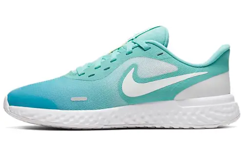 Nike REVOLUTION 5 Cushioning Slip Resistant Low top Running Shoes Blue Green Gradient Unisex
