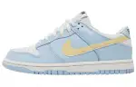 Nike Dunk Low top Skateboard Shoes Blue Unisex