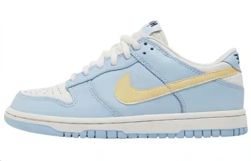 Nike Dunk Low top Skateboard Shoes Blue Unisex