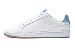 Nike Synthetic Leather Low top Skateboard Shoes Blue White Unisex