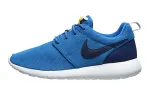 Nike Roshe One 'Blue White' GS
