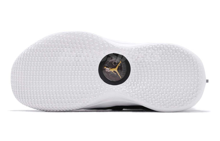 Кроссовки Jordan Air Jordan 33 "Tiger Camo" (черно-бело-золотые) — Чёрный / белый / золотой — фото 5