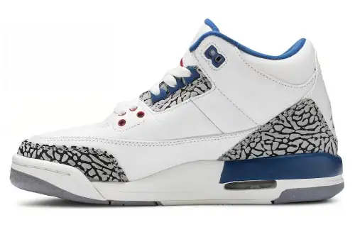 Jordan 3 Retro True Blue 2011 GS