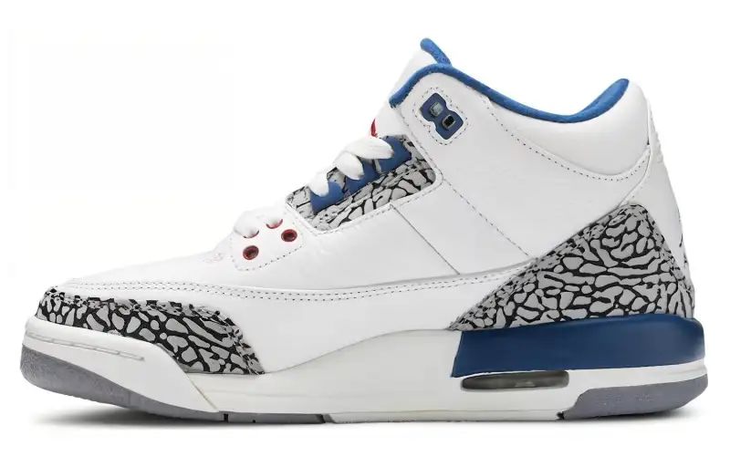 Jordan 3 Retro True Blue 2011 GS