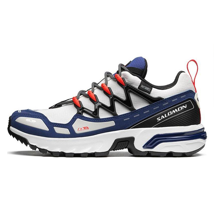 SALOMON Acs + Cswp ‘Blue Print Lunar Rock’