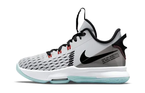 Nike LeBron Witness 5 Pure Platinum Light Dew GS