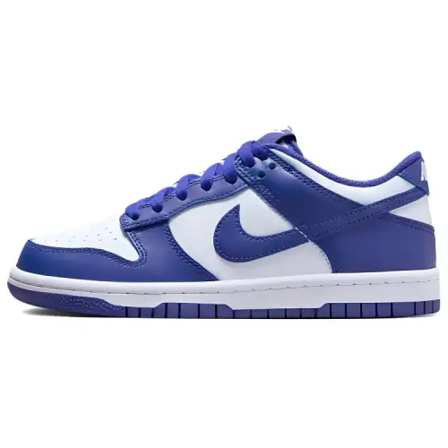 Nike Dunk Low Concord GS