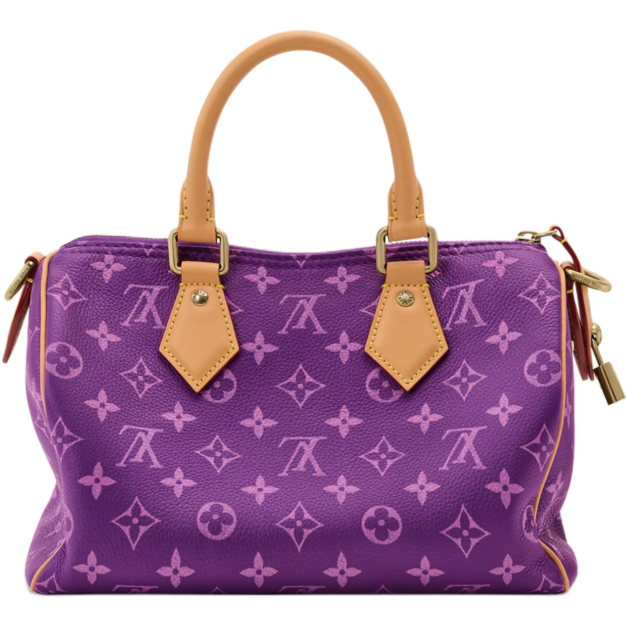 Мужская сумка Louis Vuitton Speedy P9 (монограмм) — фото 4