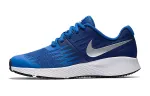 Nike Star Runner 'Blue' GS