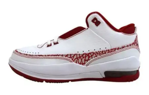 Jordan 2.5 Team 5/8th White GS