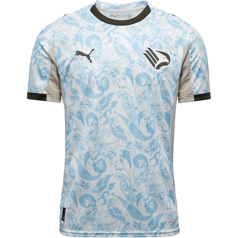 Мужская футболка PUMA Palermo (сине-белая)