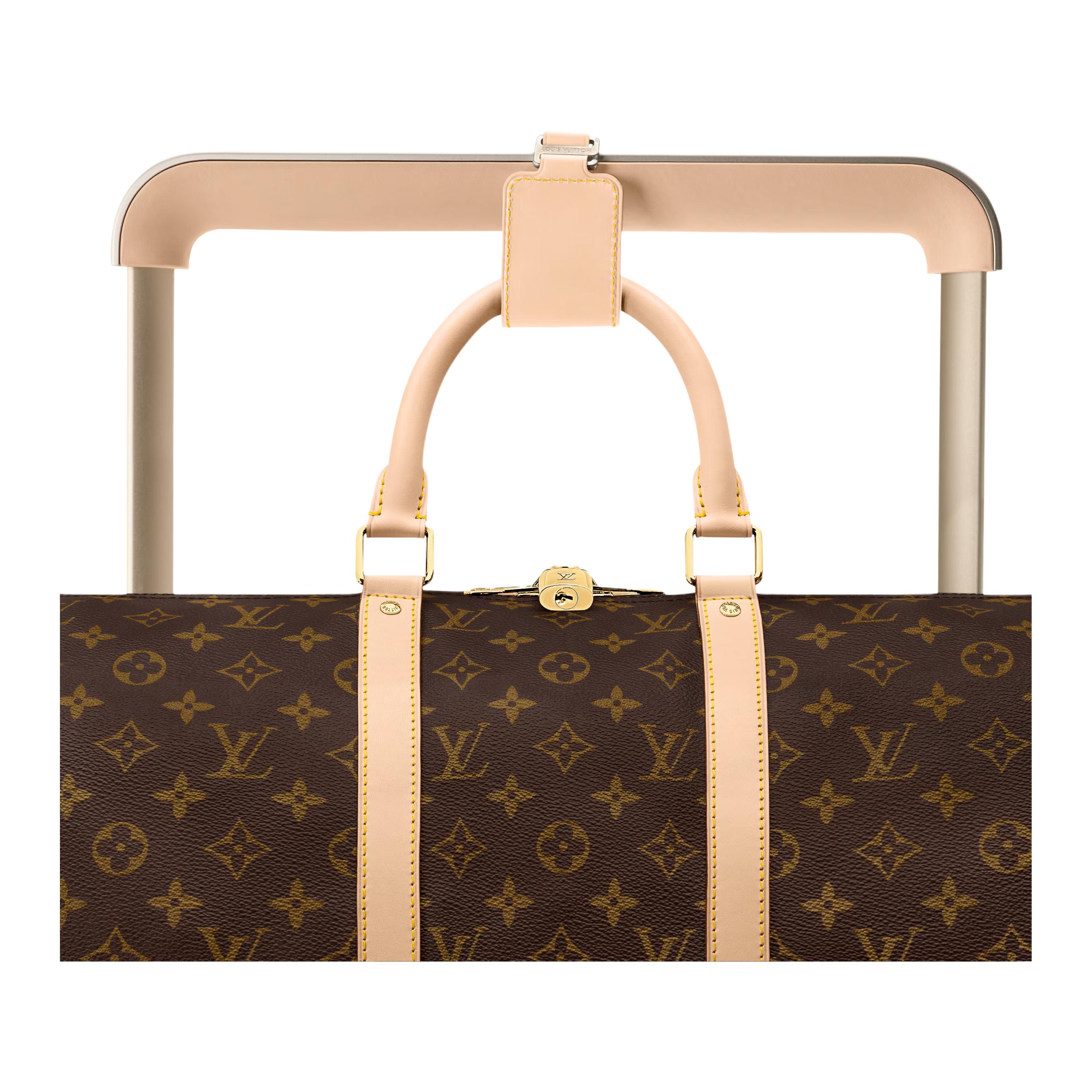 Чемодан Louis Vuitton x Takashi Murakami Horizon 55 (коричневый) — фото 6