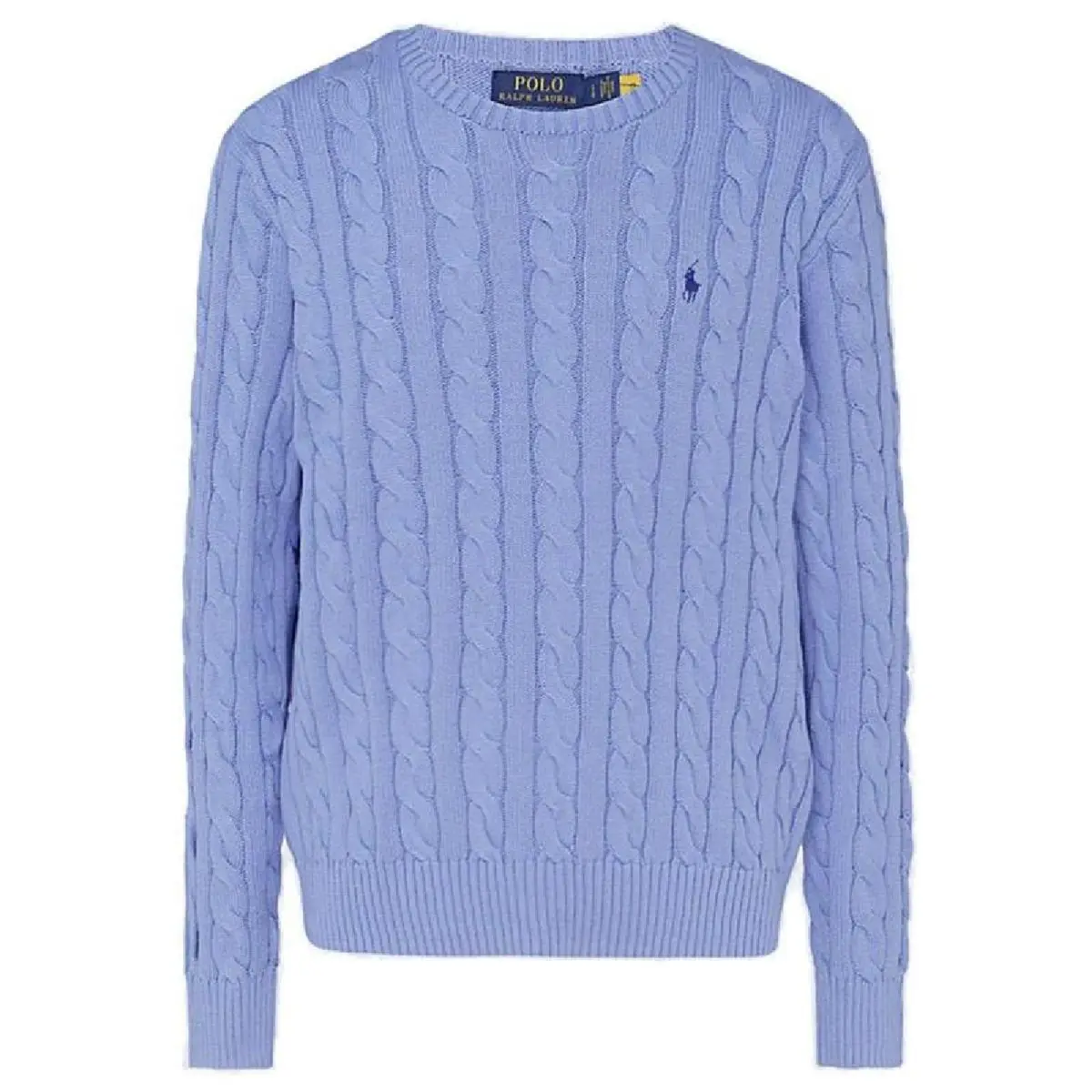 Polo Ralph Lauren FW22 Sweater Standard Men's Blue