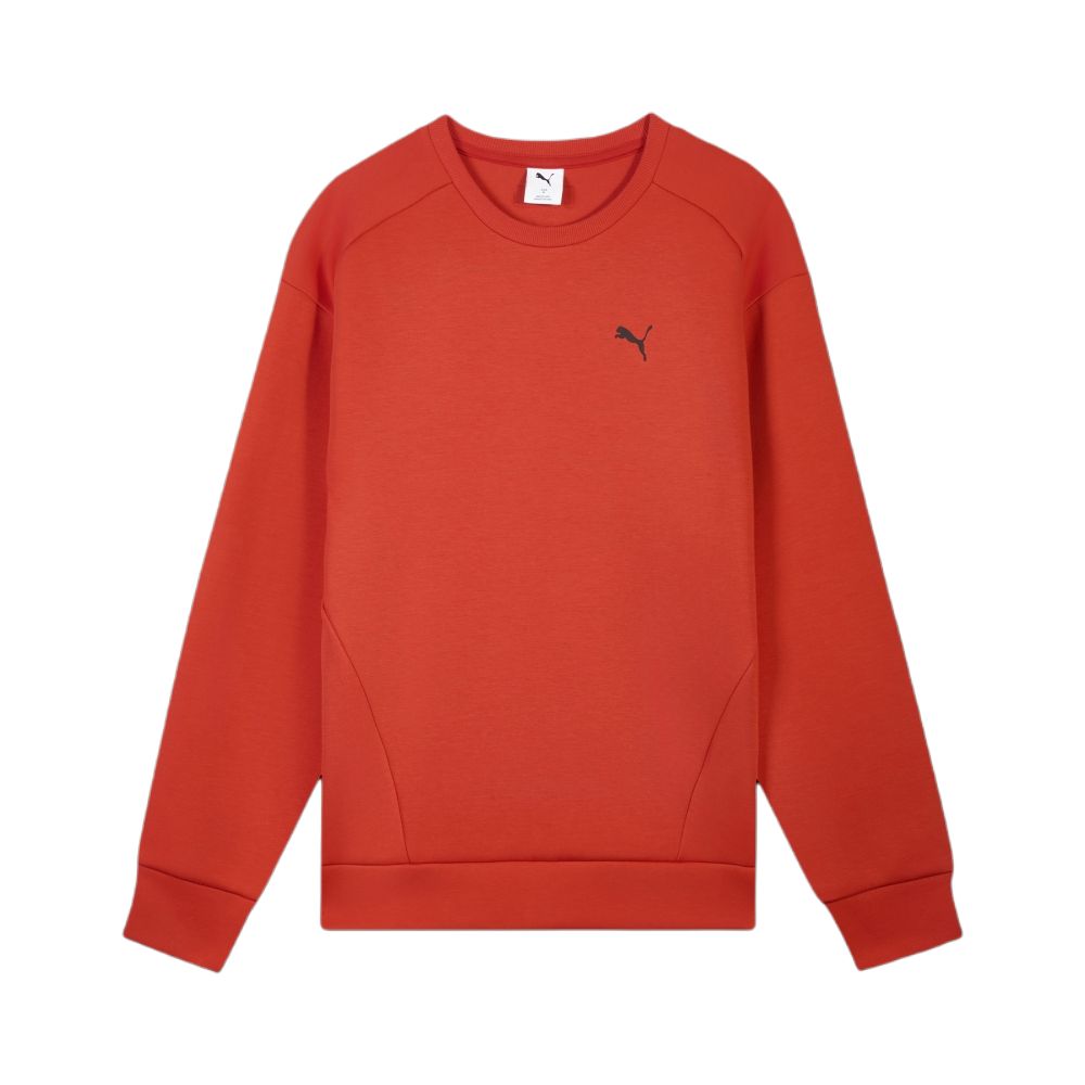 Худи PUMA FW25 CREW SWEAT MFO D (серое)