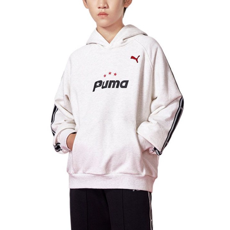Мужское худи PUMA Colorblock (разноцветное)