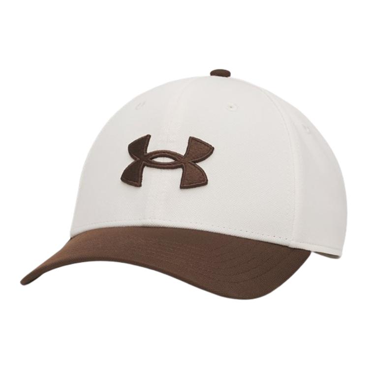 Мужская кепка Under Armour M BLITZING LOW STR (черная)