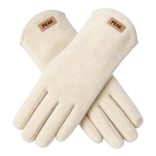 Keep warm gloves, travel set, cold-proof velvet electric car for cycling for men and women, increased thickness