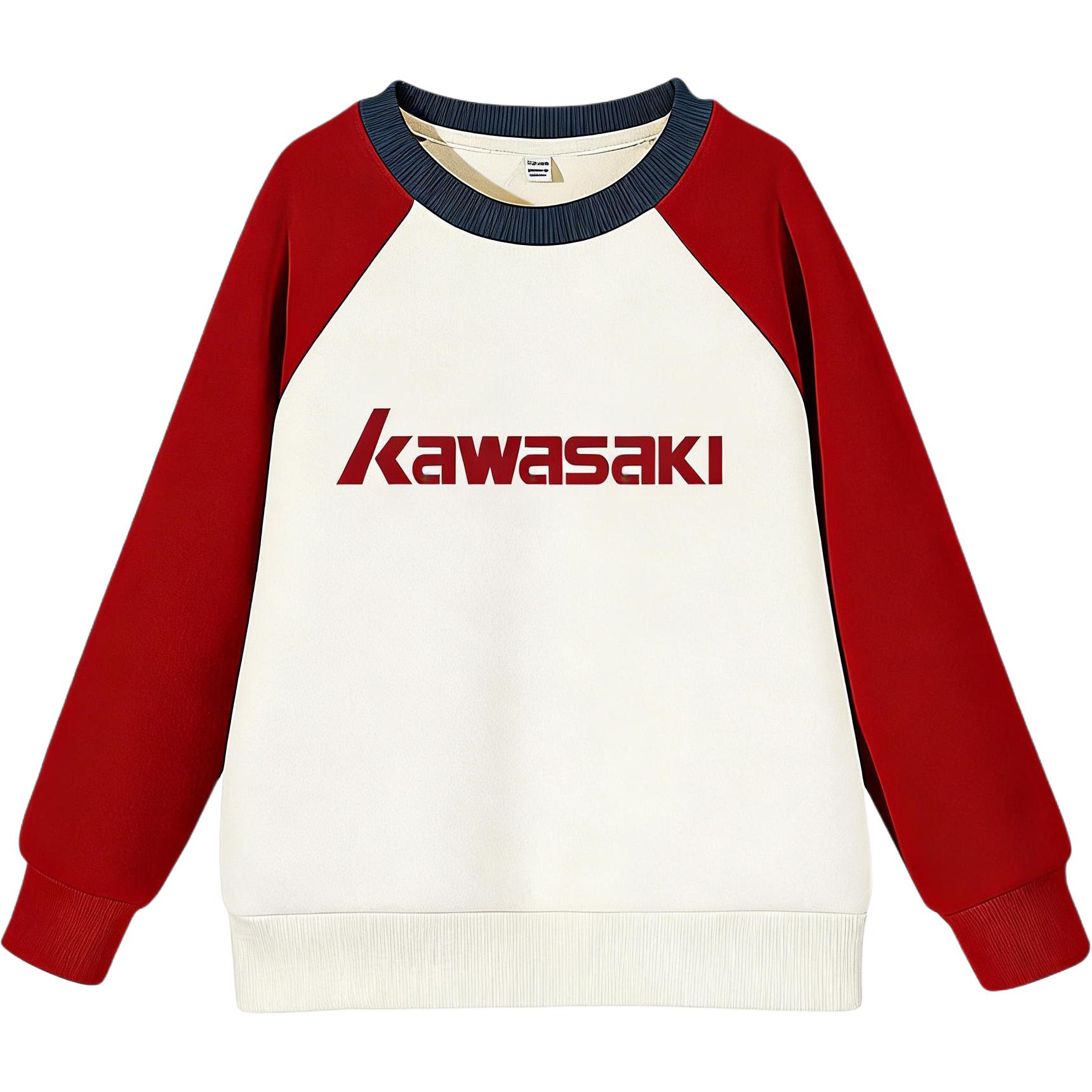 Худи Kawasaki (разноцветное)