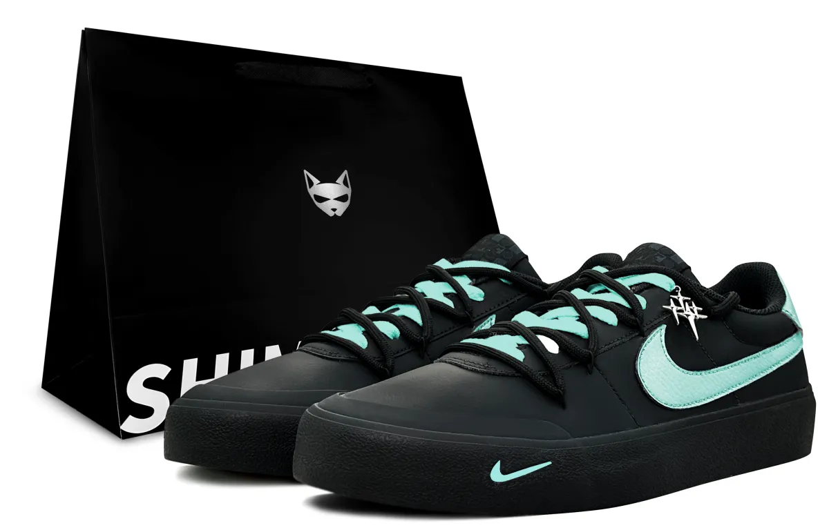 Nike Court Shot Azo Blue, Shimmery Cat Low top Skateboard Shoes Men's Blue Black