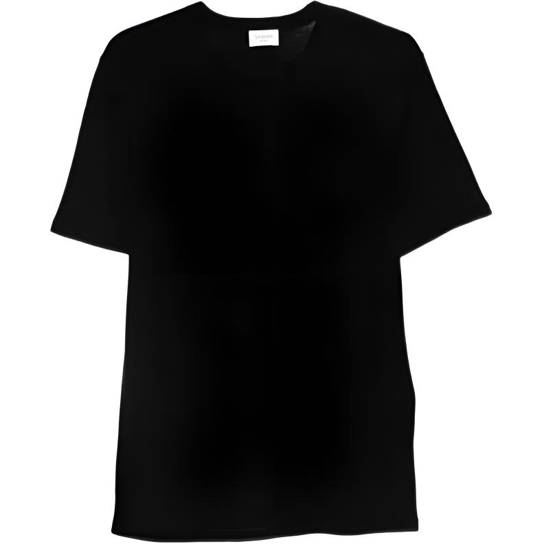 Мужская футболка SAINT LAURENT T (черная)