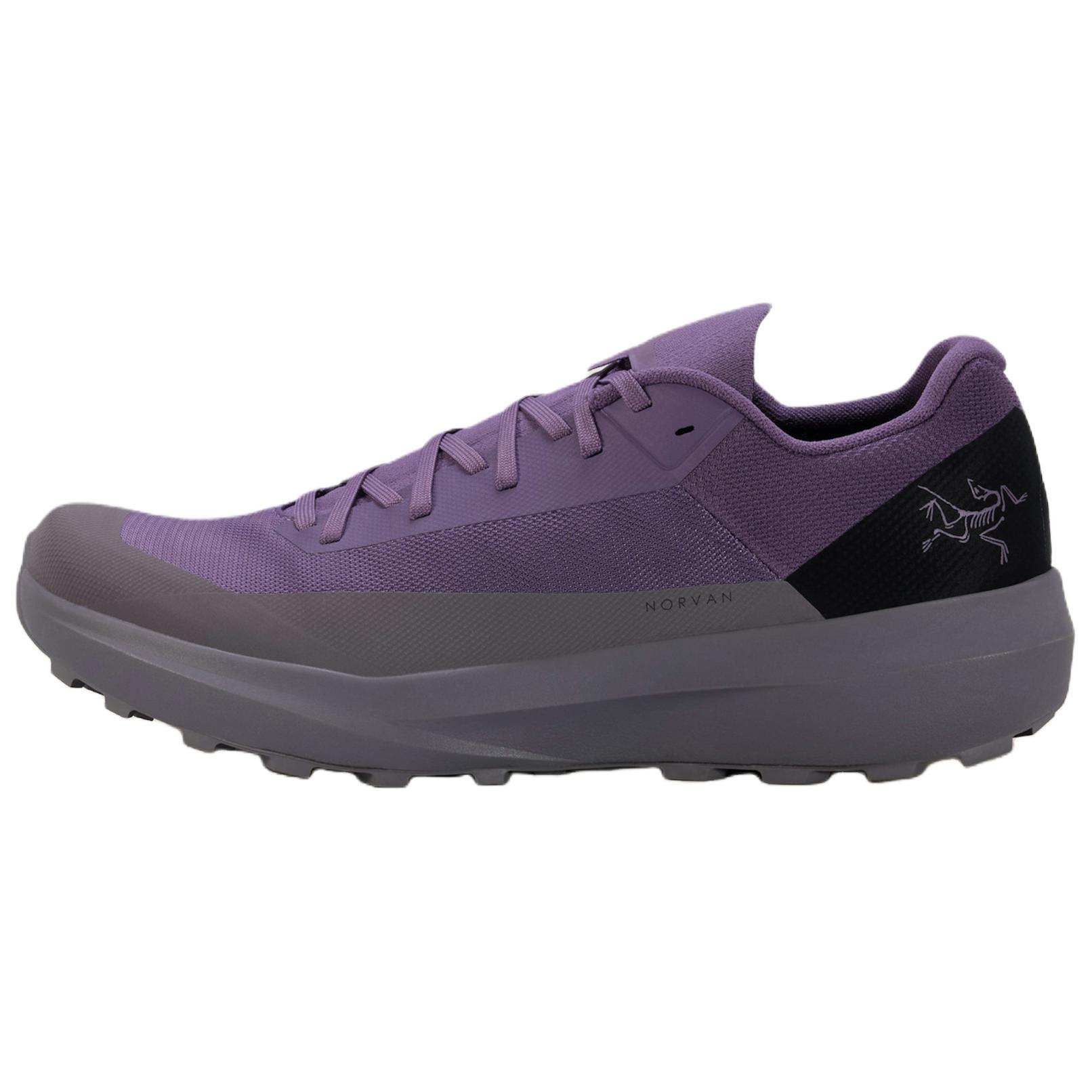 Мужские кроссовки Arcteryx Arcteryx Norvan LD 4 (фиолетово-серо-черные)