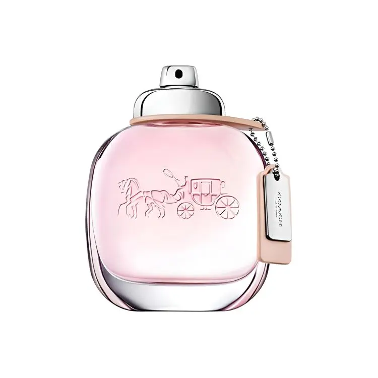 COACH New York Women's Perfume/Misty Rose/Same Name Perfumes Green Floral Eau De Toilette Pear Jasmine Musk
