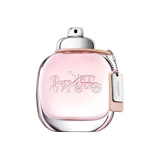 COACH New York Women's Perfume/Misty Rose/Same Name Perfumes Green Floral Eau De Toilette Pear Jasmine Musk