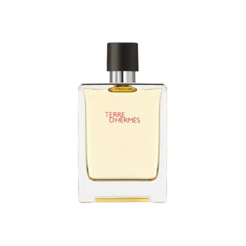 HERMES Terre D'HERMES