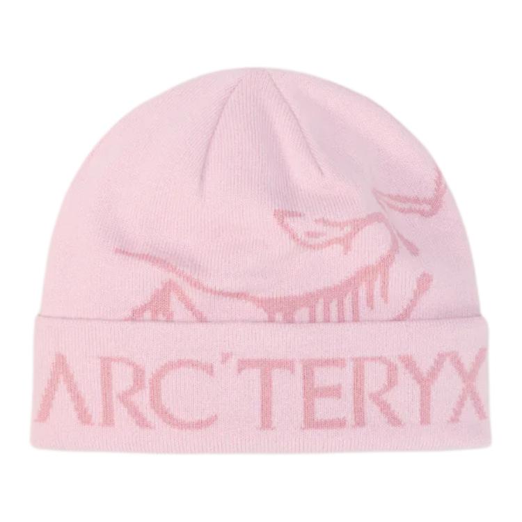 Шапка Arcteryx (черная)