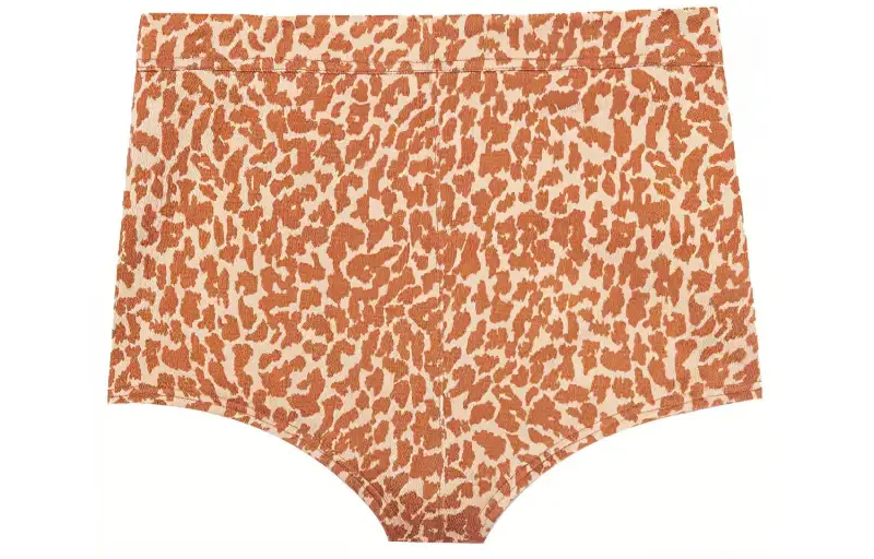 SAINT LAURENT Shorts Women's Brick Red