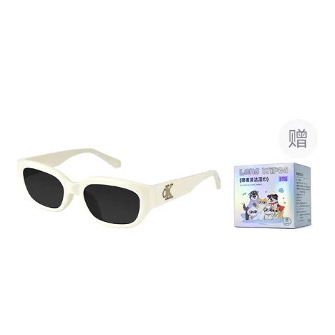 CALVIN KLEIN Oval Sunglasses Unisex