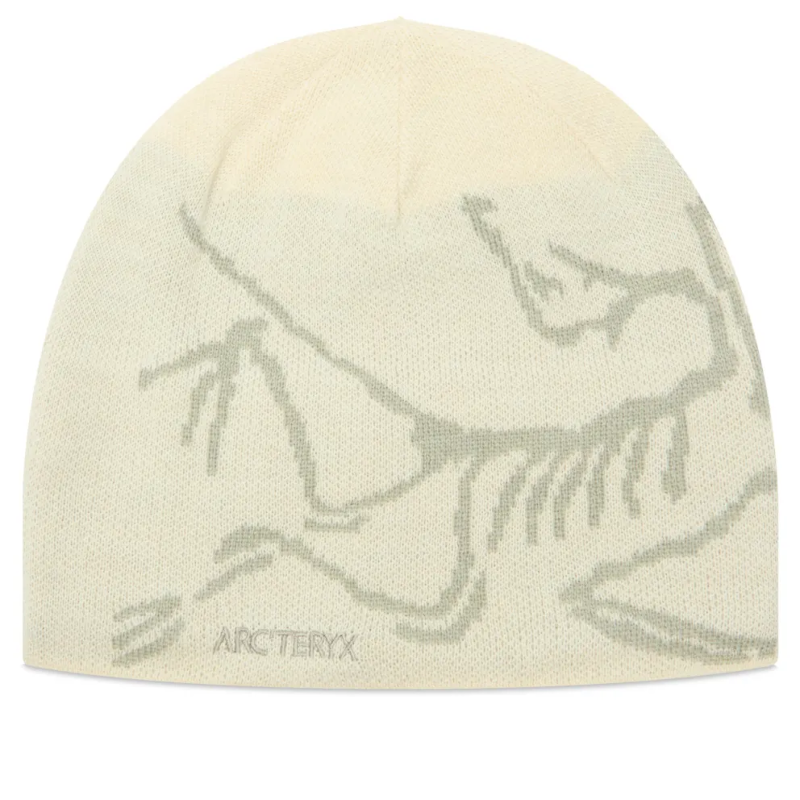 Шапка-бини Arcteryx Beanie (черная)