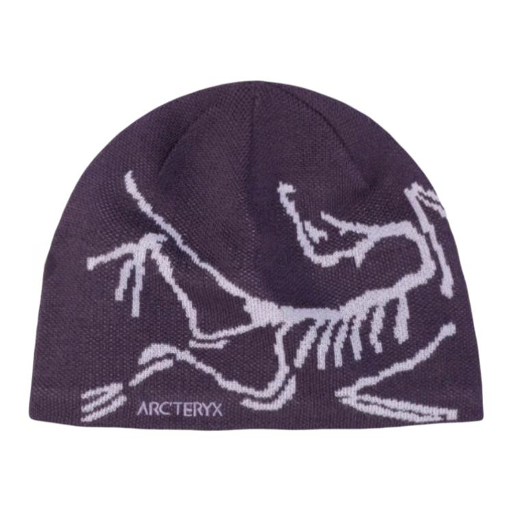 Шапка Arcteryx (многоцветная)