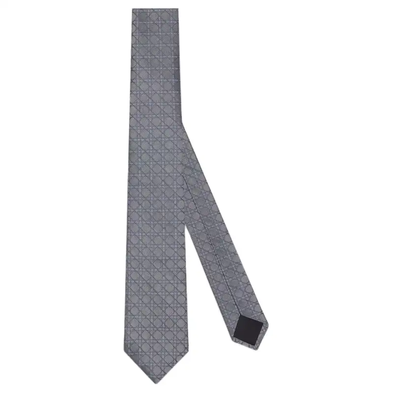 DIOR Ties Men's Gray