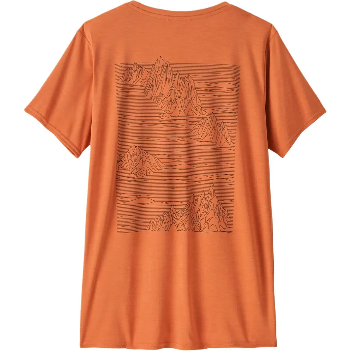 Patagonia mountain-print T-shirt