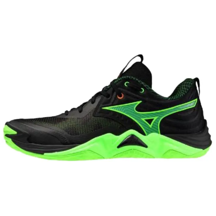Mizuno WAVE MOMENTUM ELITE Volleyball Shoes Unisex Black Green
