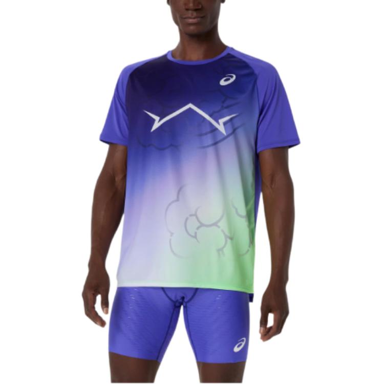 Мужская футболка ASICS Logo (синяя)