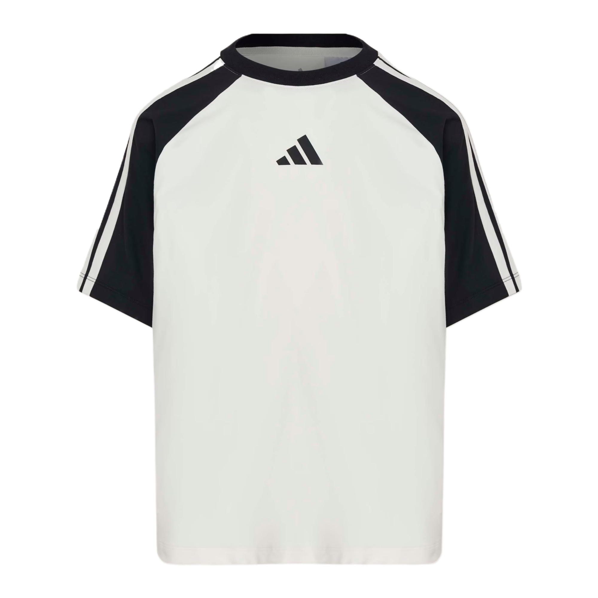 Мужская футболка adidas SportswearTClimacool (сине-белая)