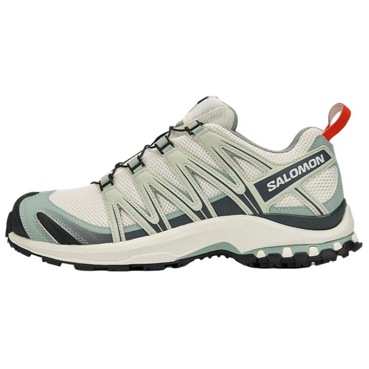 Кроссовки Salomon SALOMON XA PRO 3D (белые)