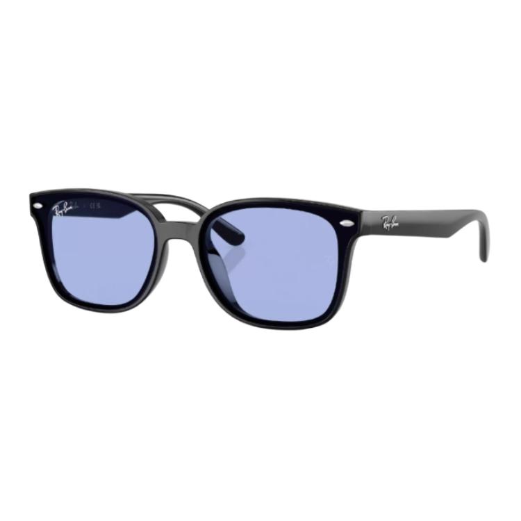 Очки RayBan RayBan (черный)