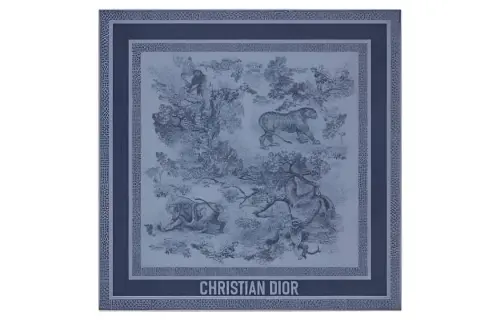 DIOR Scarves Women's Blue