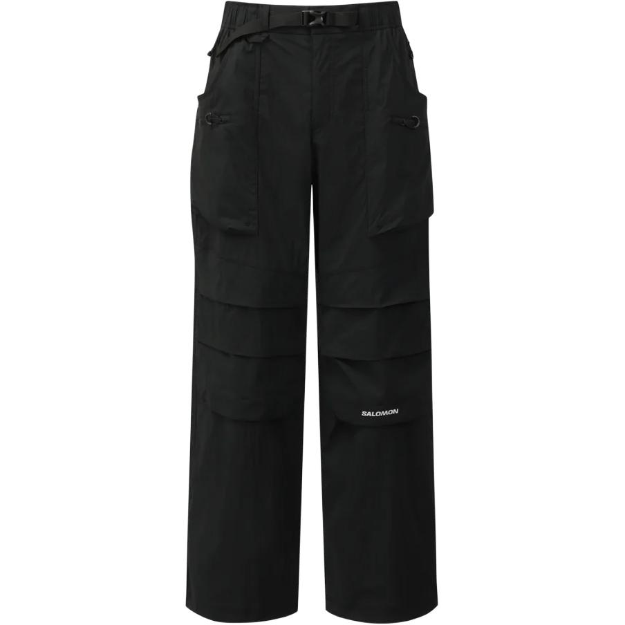 Штаны Salomon UNI PINNACLE LT (серые)