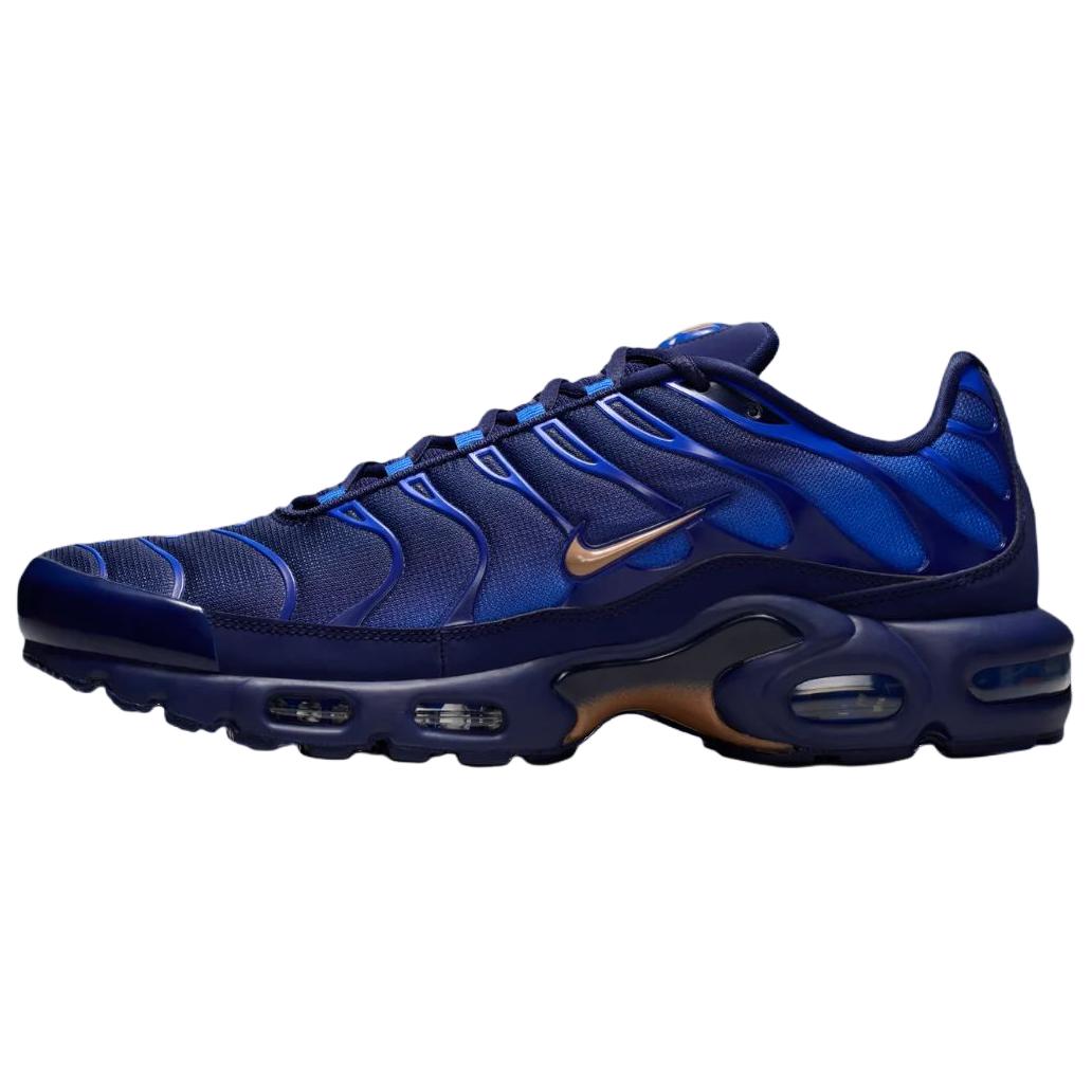 Мужские кроссовки Nike × French Football Federation Air Max Plus OG (сине-черные)