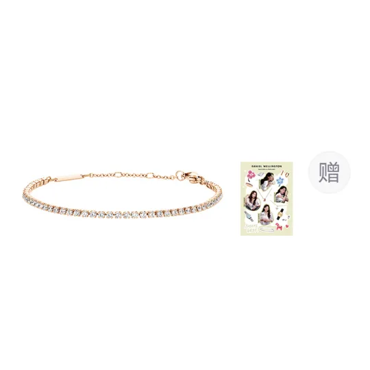 Daniel Wellington DW Classic Synthetic Cubic Zirconia Alloy Bracelets Unisex Rose Gold