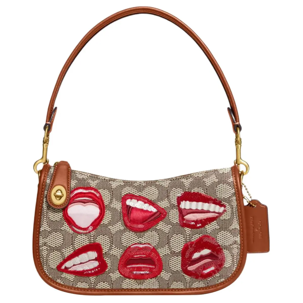 COACH XTom Wesselmann Collaboration With Leather Pochette, Shoulder Bag, Portable Crossbody Bag, Shoulder Bag Medium