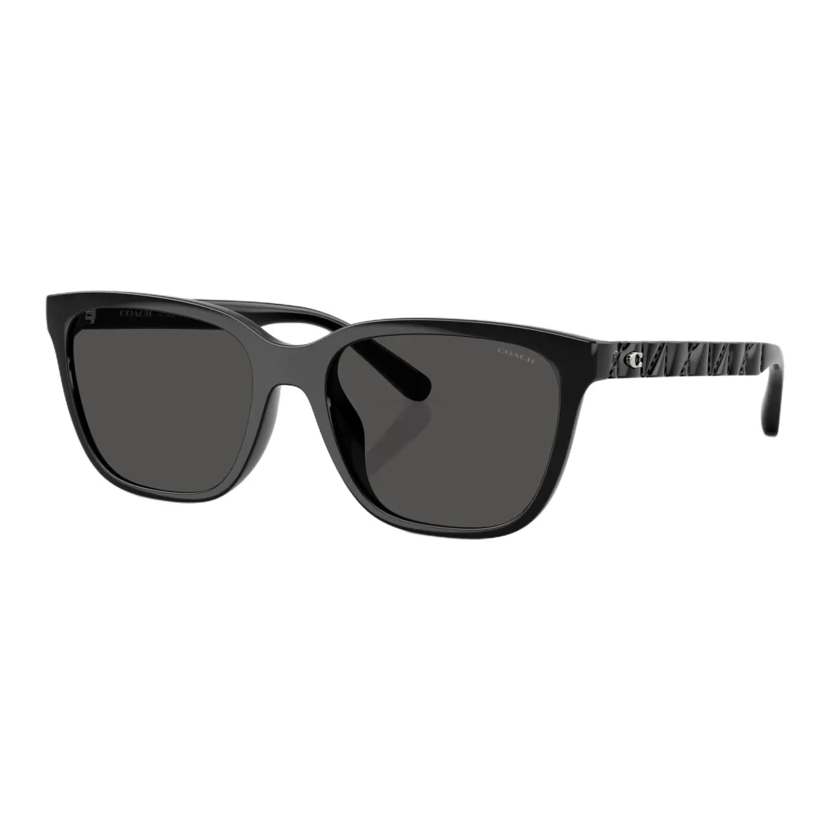 COACH Irregular Shape Sunglasses Unisex Black