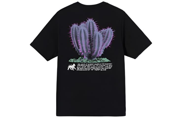 Футболка Stussy Desert Bloom Tee (разноцветная) — фото 5
