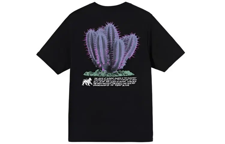Stussy Desert Bloom Tee